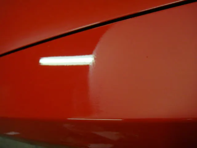 DSC01199.webp
