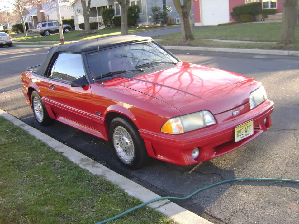 DSC01203.webp