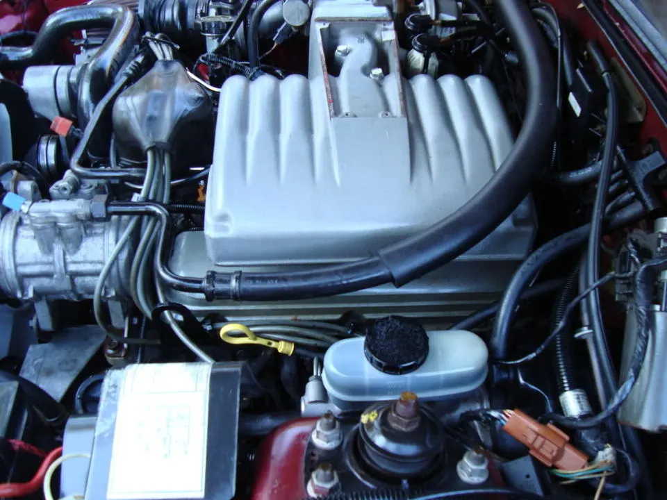 DSC01211.webp