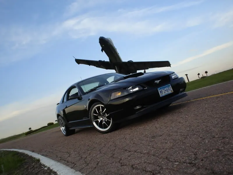 DSC01212.webp