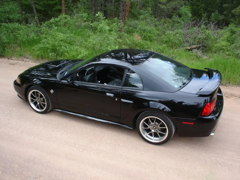 DSC01238.webp