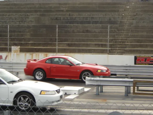 DSC01265.webp