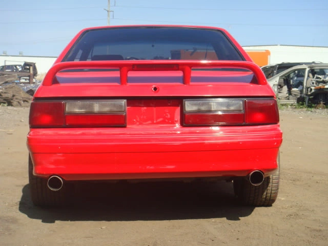 DSC01273.webp