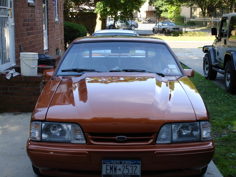dsc01281k.webp