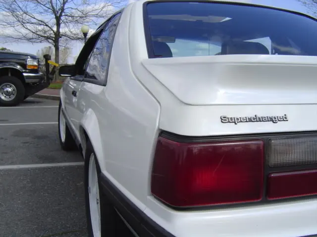 DSC01286.webp