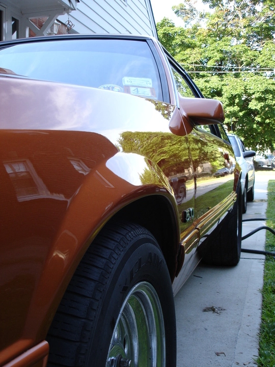dsc01293v.webp