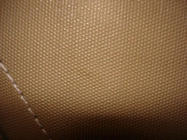DSC01296.webp