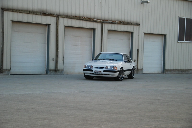 dsc0129f.webp
