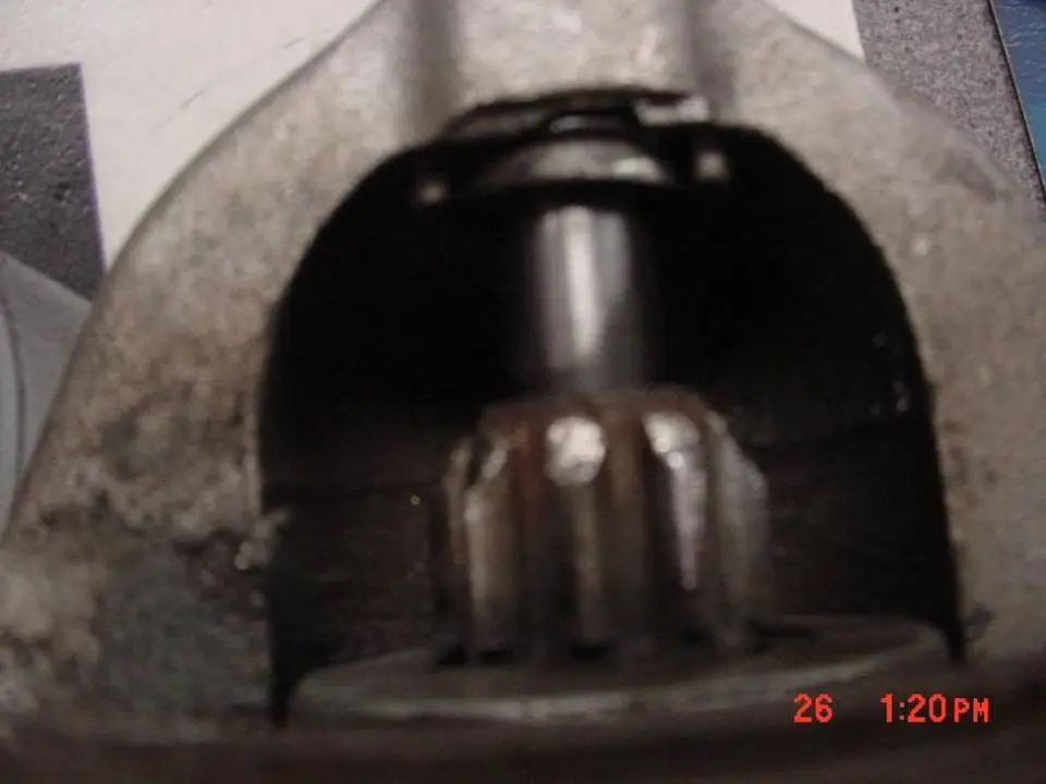 DSC01329.webp