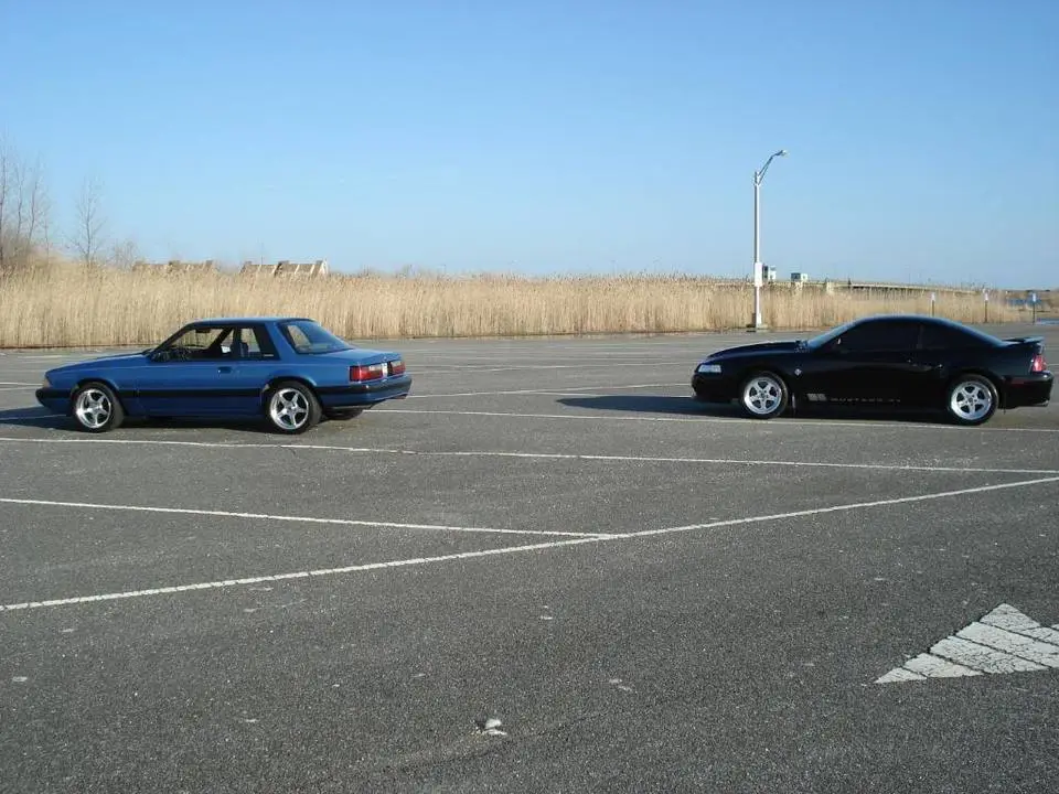 DSC01339.webp