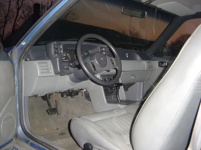 DSC01339.webp