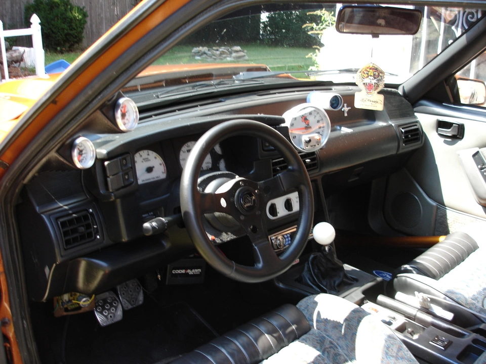 dsc01342cvb.webp