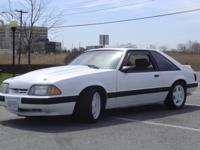 DSC01374.webp