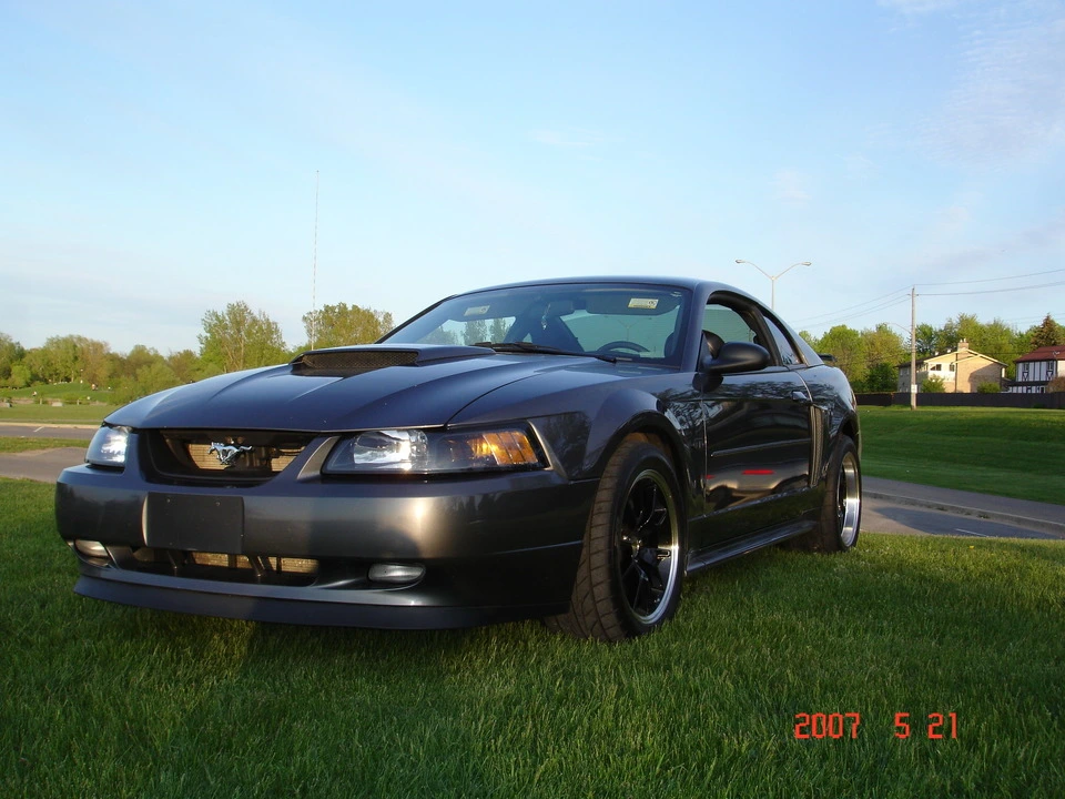 dsc01385kx4.webp