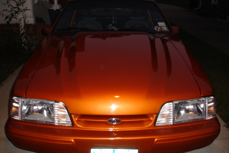 dsc01389od.webp