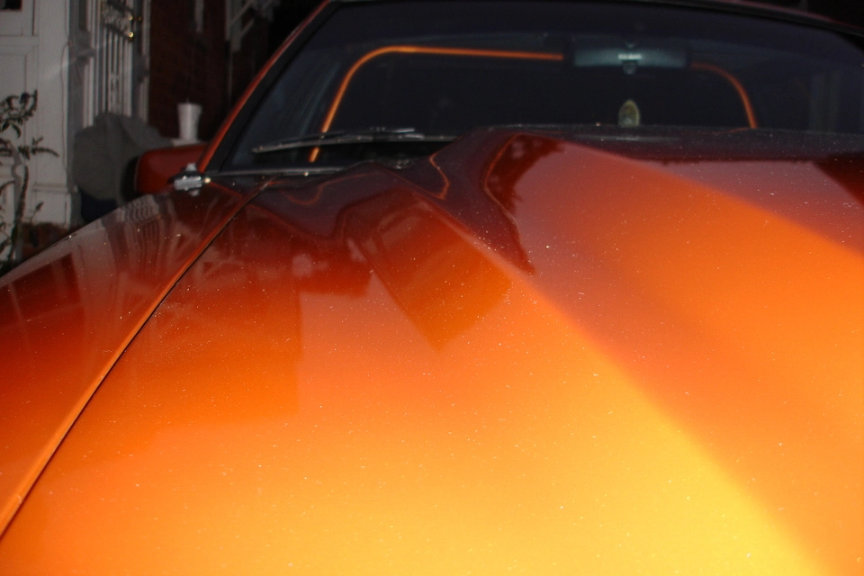 dsc01392j.webp