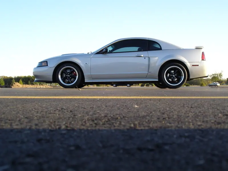 DSC01410.webp