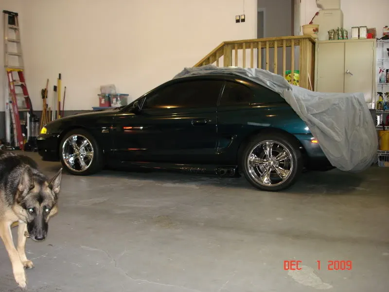 DSC01412.webp