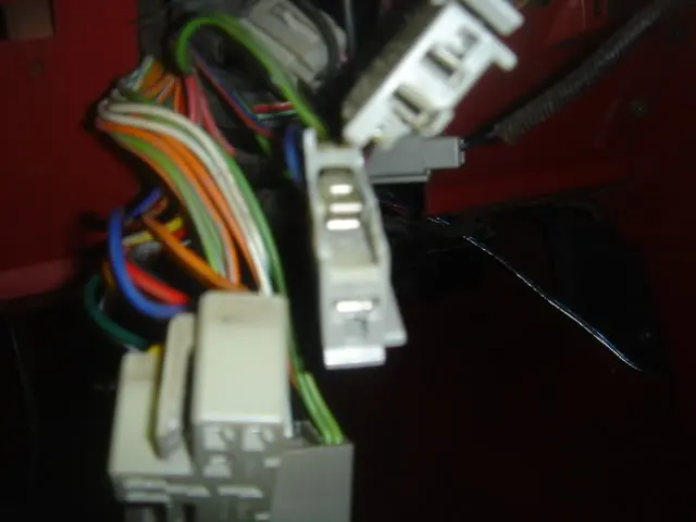 DSC01459.webp