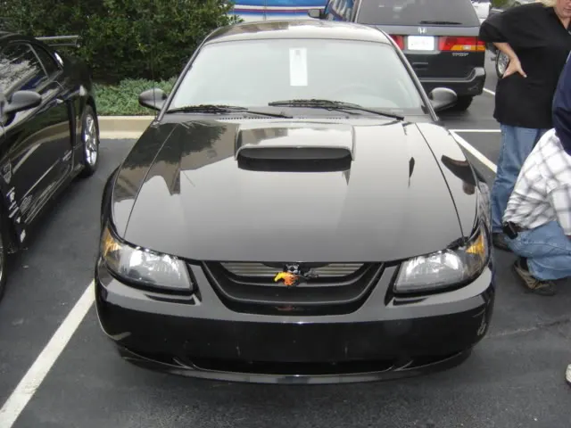 DSC01569.webp