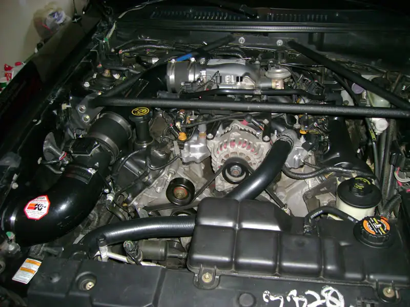 DSC01571.webp