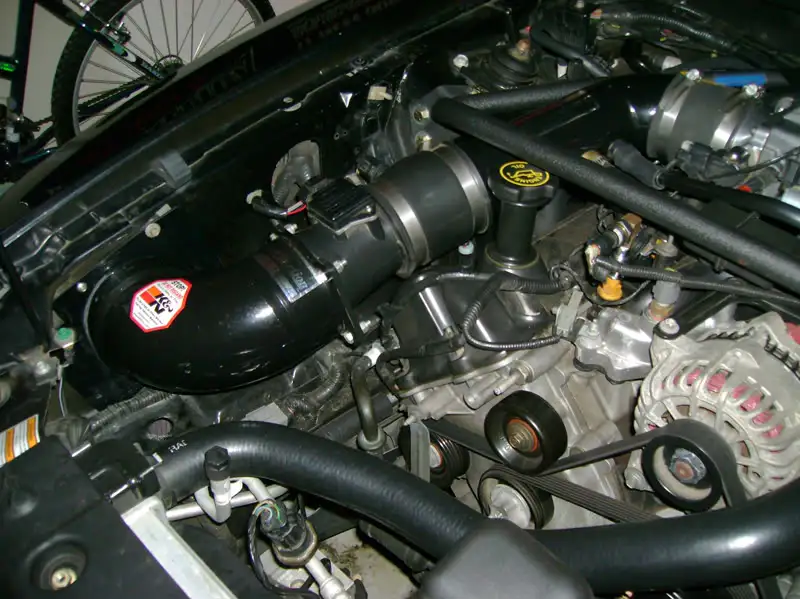DSC01572.webp