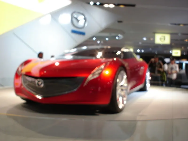 DSC01675.webp