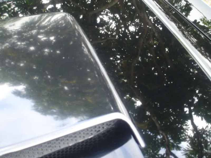 DSC01680.webp