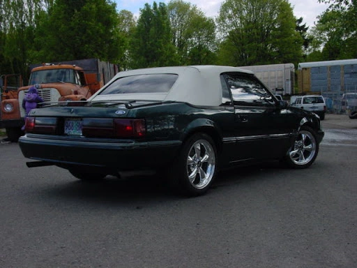 DSC01721.webp