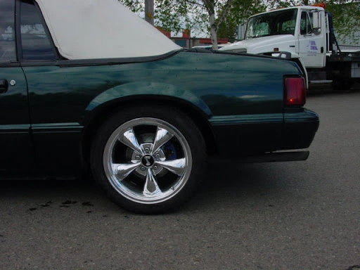 DSC01724.webp