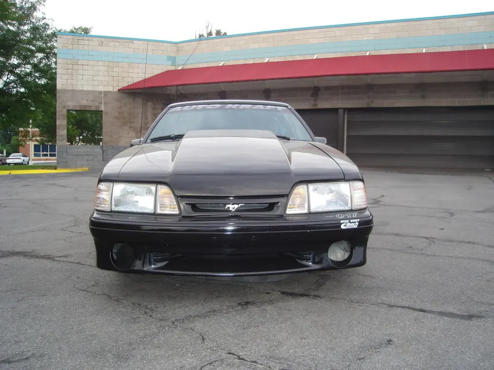 DSC01732.webp