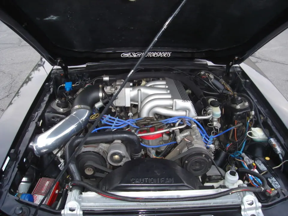 DSC01738.webp