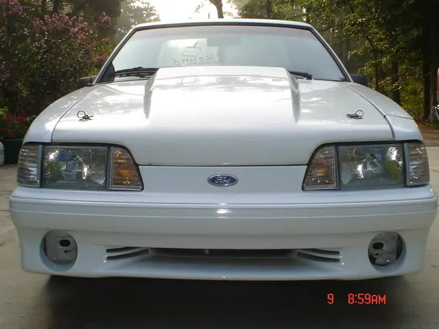 Dsc01835.webp