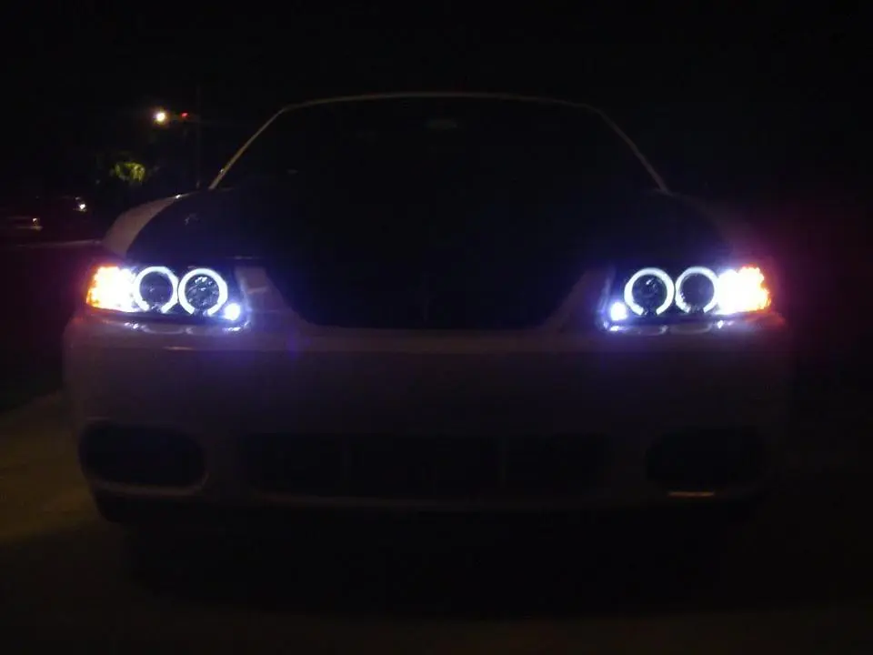 DSC01836.webp