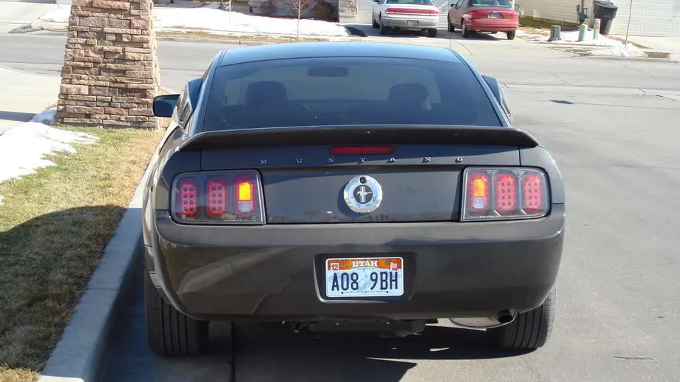 DSC01859.webp