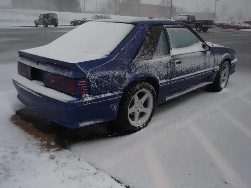 DSC01931.webp