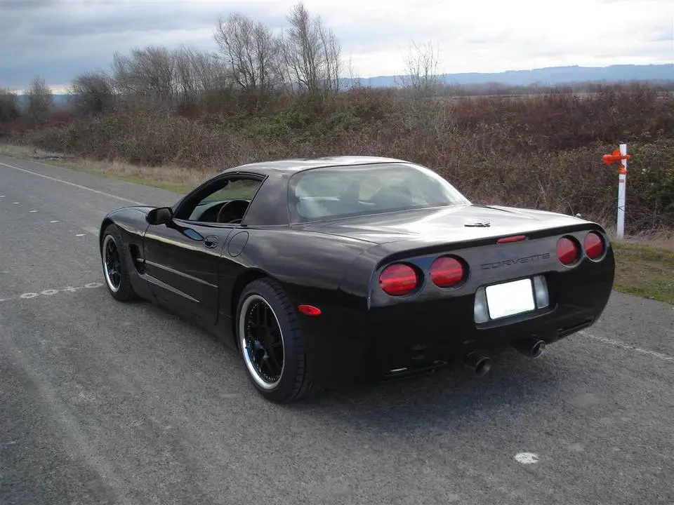 DSC01951Custom.webp