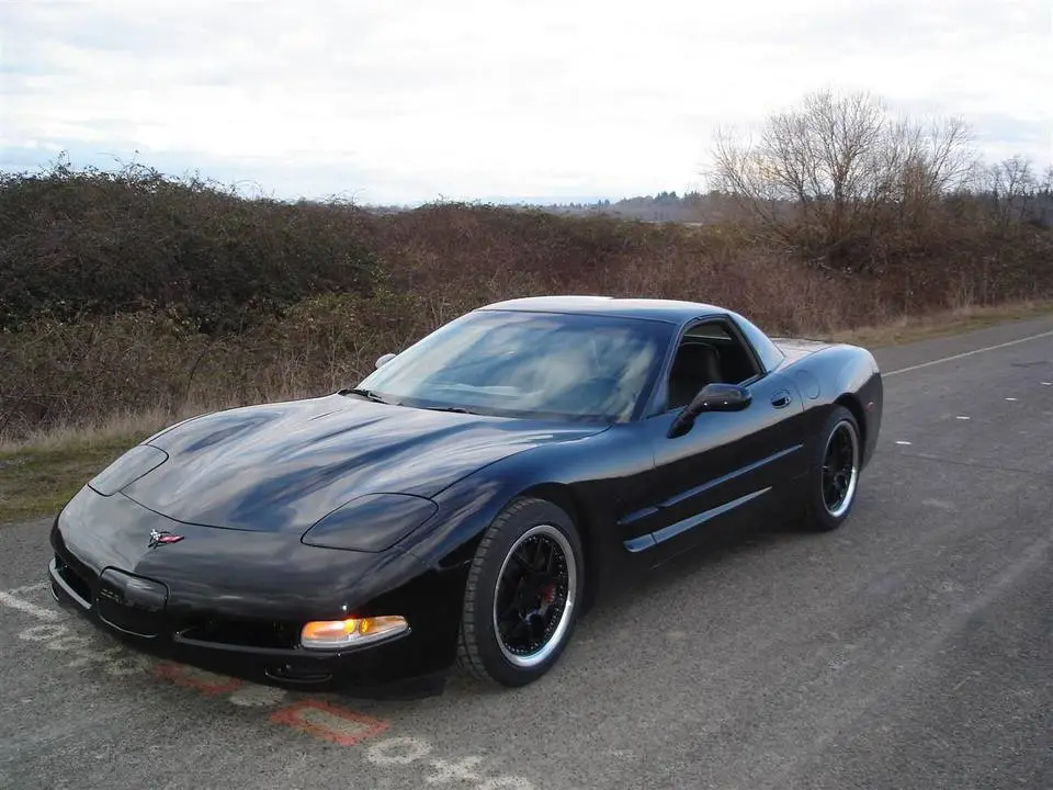 DSC01952Custom.webp