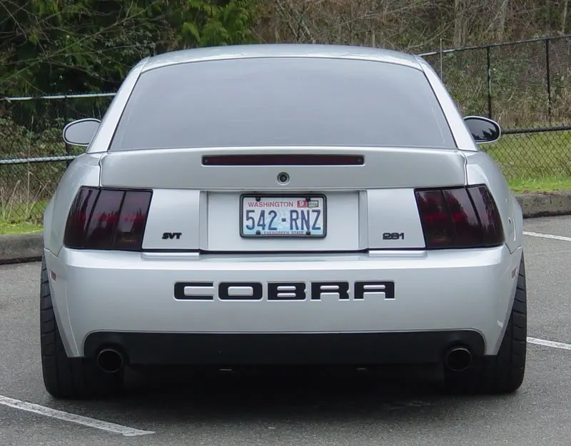 DSC01964.webp