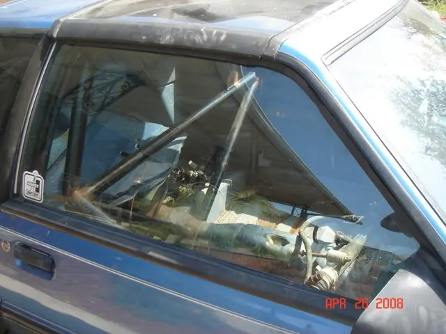 DSC01979.webp