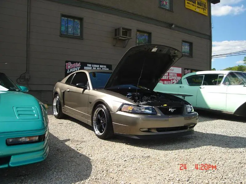 DSC01986.webp