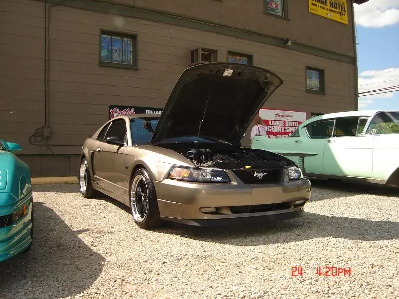 DSC01987.webp