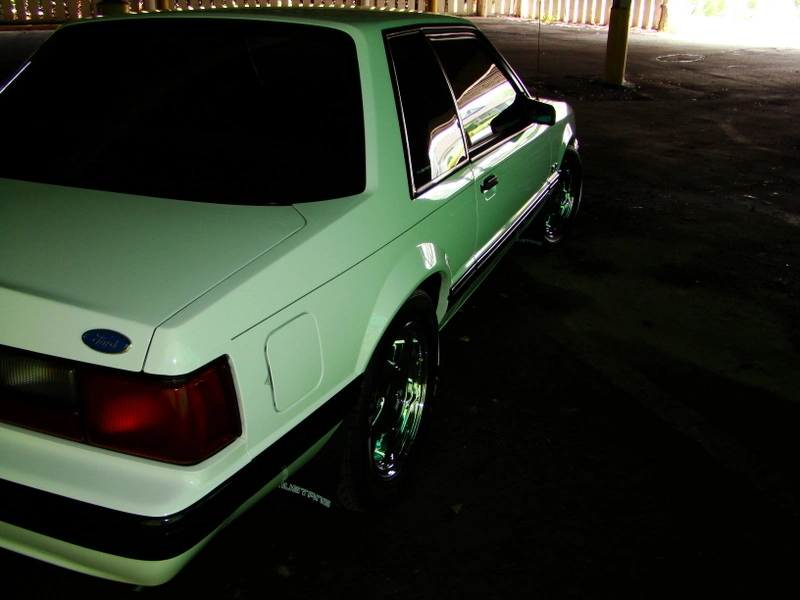 dsc02001un9.webp