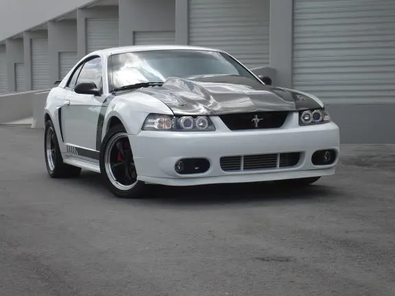 DSC02206.webp