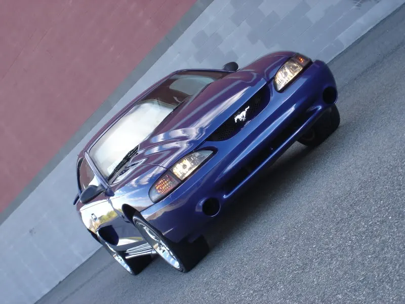 DSC02248.webp