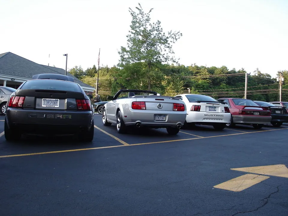 DSC02250-1.webp