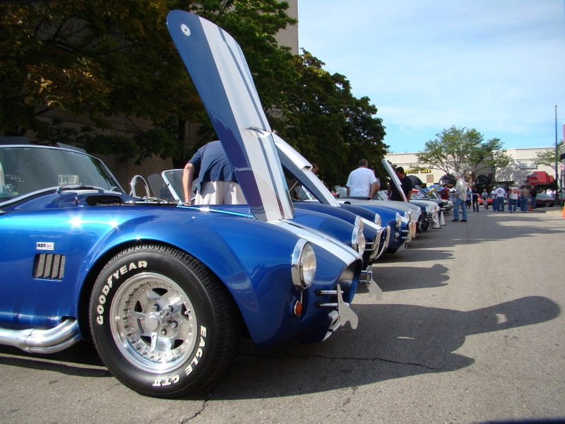 dsc02266ox3.webp