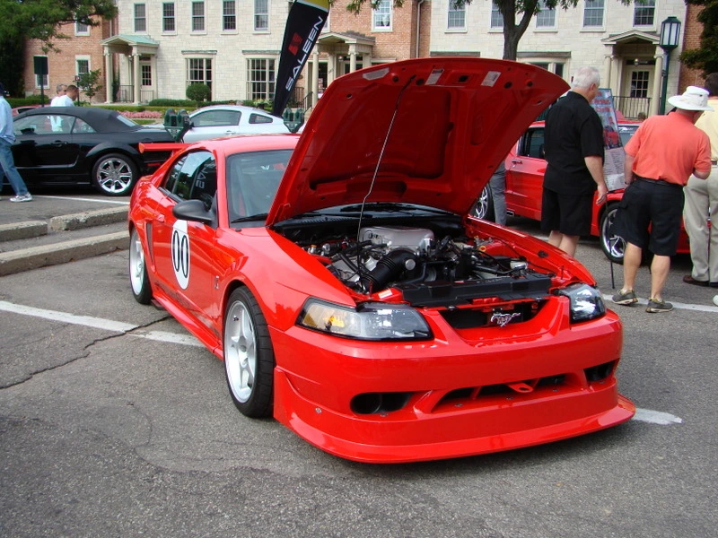 dsc02296ol3.webp