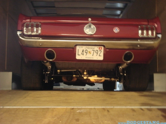 DSC02419.webp