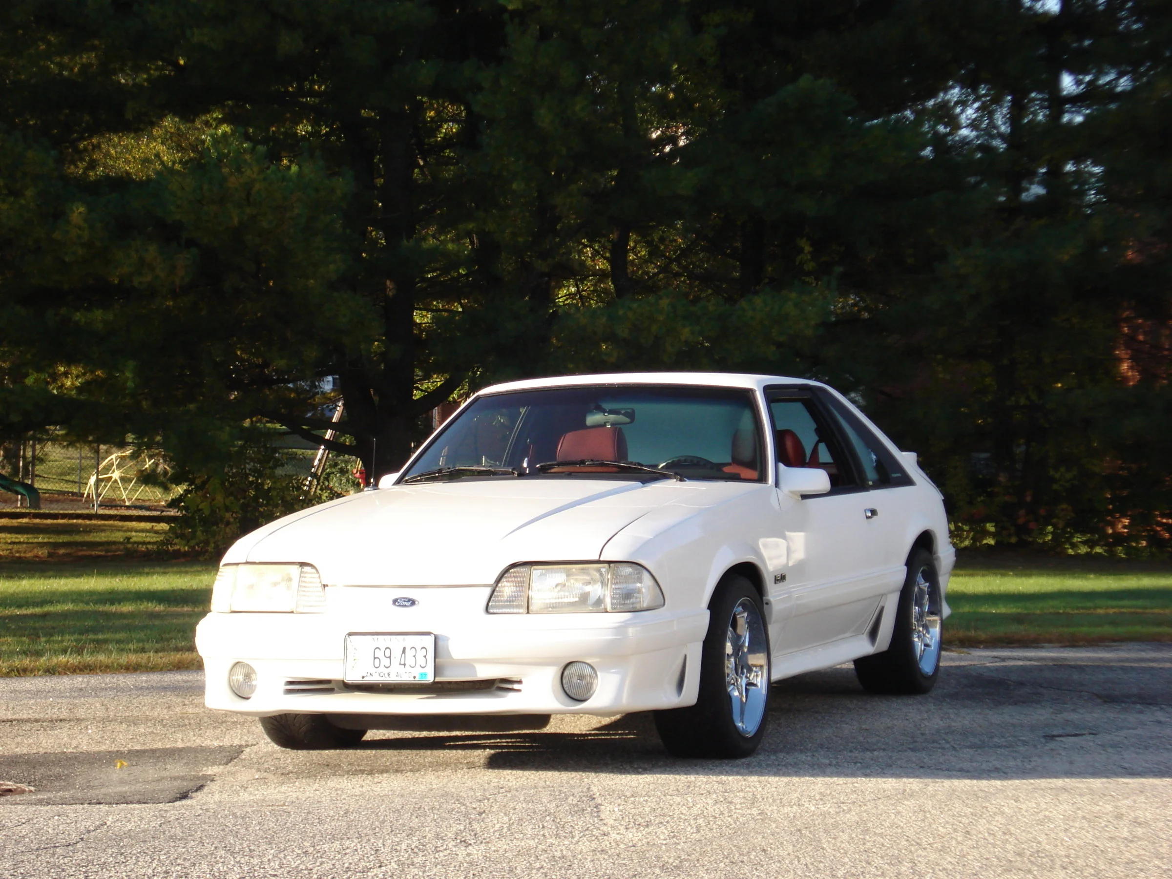 DSC02476.webp